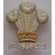 Royal Regiment of Wales cap badge 
