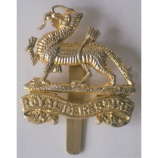 Royal Berkshire Regiment anodised cap badge 