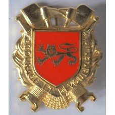 Guyenne Fire Brigade unit badge 