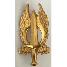 Northern Transvaal Regiment beret badge