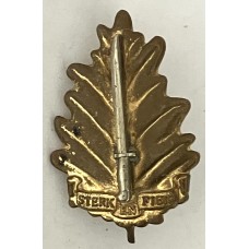 Stellenbosch University Regiment cap badge