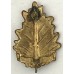 Stellenbosch University Regiment cap badge