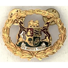 Warrant Officer Class 1 rank badge