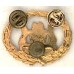 Warrant Officer Class 1 rank badge