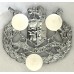 South African Police Warrant Officer rank badge 