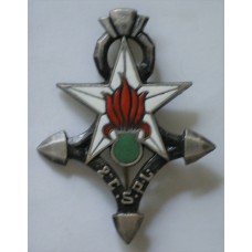 2nd Saharan Mounted Company of the French Foreign Legion unit badge 