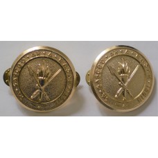 Irish Army Cadet collar badges 