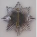 Plymouth Fire Brigade cap badge 