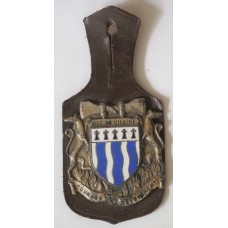 Ille-et-Vilaine Fire Brigade unit badge 