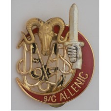 Training Group Chief Sergeant Allenic unit badge for the 125th Promotion of the National Active Non-Commissioned Officers School