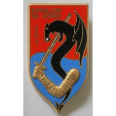 Training Group Korea Battalion unit badge for the Applied Armored School Reserve Officer Students  
