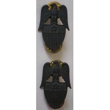 1 Star General Aide de Camp subdued collar badges