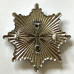 Surrey Fire Brigade cap badge 