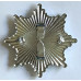 Royal Berkshire Fire Brigade cap badge 
