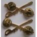 Cavalry Officer collar badges 