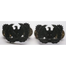 Warrant Officer subdued collar badges 