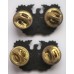 Warrant Officer subdued collar badges 