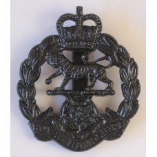 Royal Hampshire Regiment cap badge 