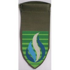 Israeli Army Education and Youth Corps unit tag 