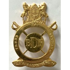 Botswana Defence Force pre 1988 officer's cap badge Botswana Defence Force pre 1988 officer's cap badge