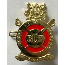 Botswana Defence Force post 1990 officer's beret badge Botswana Defence Force post 1990 officer's beret badge