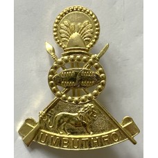 Swaziland Defence Force 2nd pattern cap badge 
