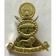 Swaziland Defence Force beret badge 