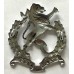 Highveld Regiment cap badge 