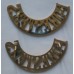 Sherwood Foresters (Nottinghamshire and Derbyshire Regiment) shoulder badges