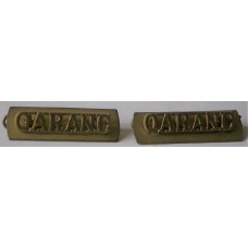 Queen Alexandra's Royal Army Nursing Corps (QARANC) shoulder badges