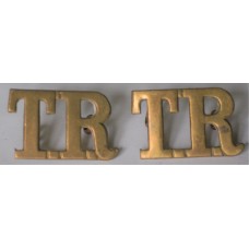 Training Reserve shoulder badges