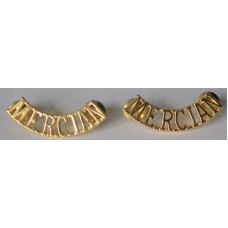 Mercian Regiment shoulder badges