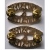 Worcestershire and Sherwood Foresters Regiment shoulder badges