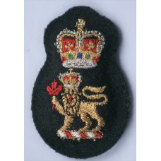 Colonel and Brigadier's cap badge 
