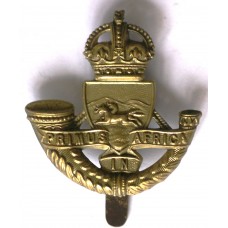 Durban Light Infantry cap badge 