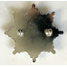 Cheshire Fire Brigade cap badge 