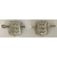 Hull City Police collar badge pair 
