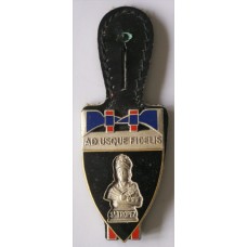 St Tropez Fire Brigade unit badge