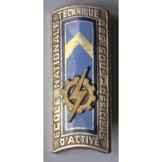 Regular Army NCOs National Technical Training School unit badge 