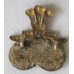 Staffordshire Regiment cap badge 
