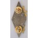 Sedan Medical Group unit badge 
