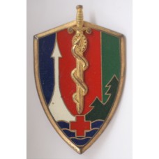 French Forces in Germany Medical Services Headquarters unit badge 
