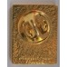 Operation Daguet miniature badge