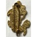 21st Colonial Infantry Regiment unit badge