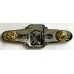 Thailand Police Riot Control unit badge