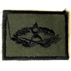 Turkish Military cloth insignia