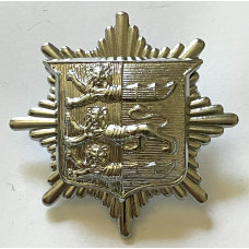 Hastings Fire Brigade cap badge