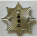 Manchester County Borough Fire Brigade cap badge 