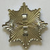 Hampshire Fire Service cap badge
