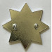 Holland County Fire Brigade cap badge 